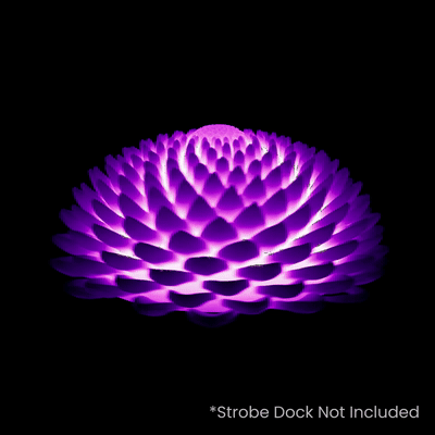 Black Dahlia - NovaTropes fractal art